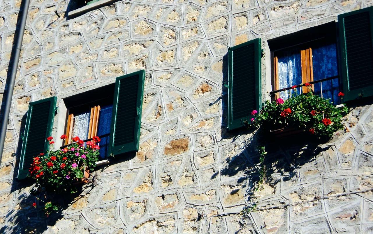 Andante Appartamenti Castelnuovo di Val di Cecina Dış mekan fotoğraf
