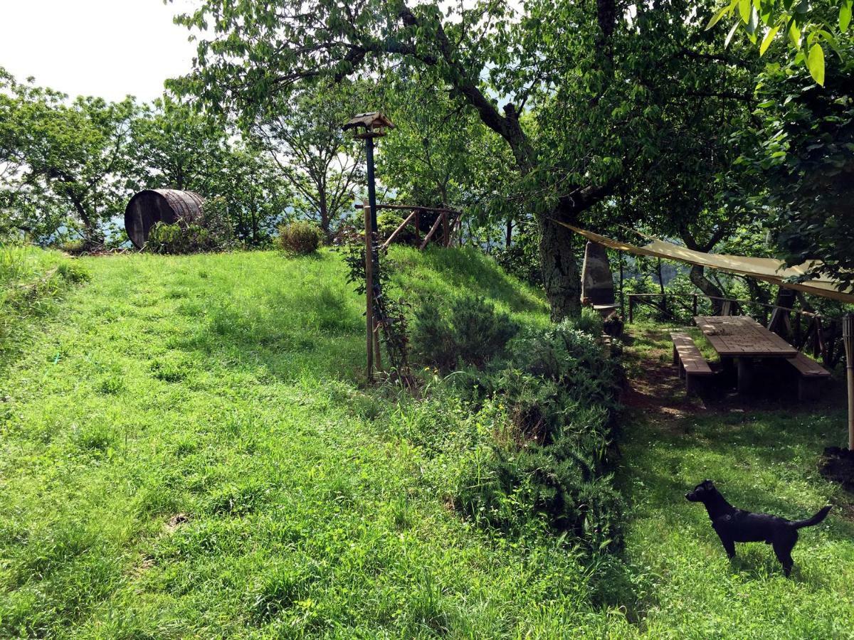 Andante Appartamenti Castelnuovo di Val di Cecina Dış mekan fotoğraf