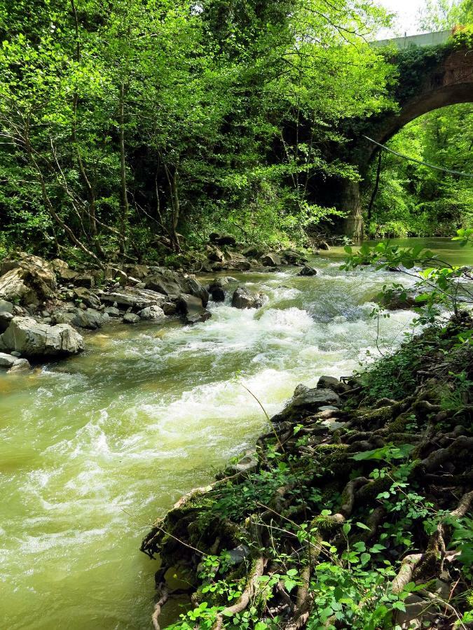 Andante Appartamenti Castelnuovo di Val di Cecina Dış mekan fotoğraf
